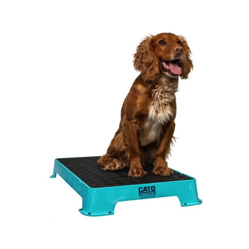 Cato Board | Premium Stability Platform