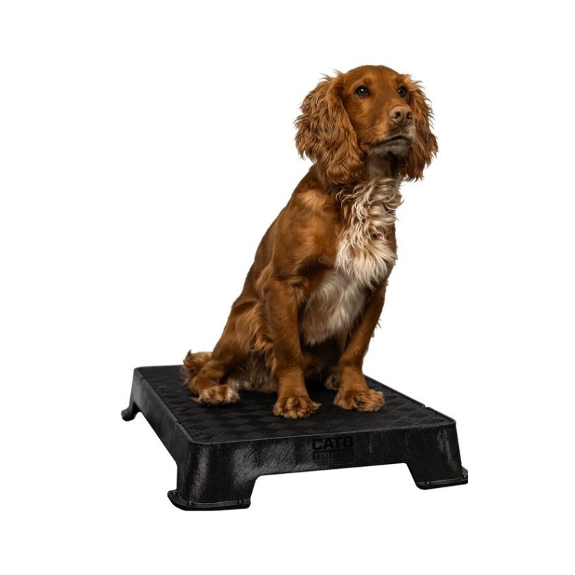 Cato Board | Premium Stability Platform