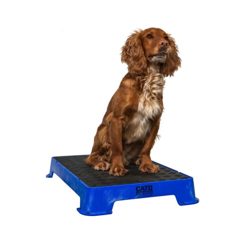 Cato Board | Premium Stability Platform