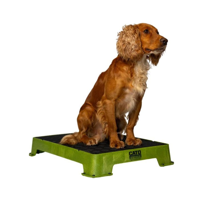 Cato Board | Premium Stability Platform
